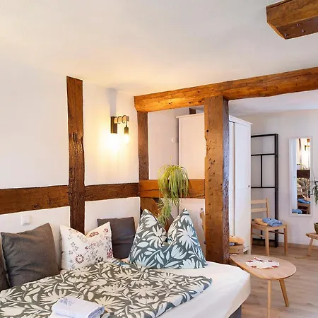 Apartament Fachwerk 44 Frielendorf